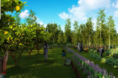 红河谷西柚庄园规划设计