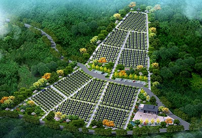 潞江镇芒柳公墓规划设计
