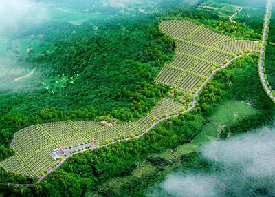 腾冲市界头镇中心公墓建设项目建议书
