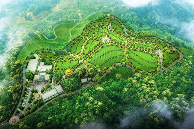 金平县龙塘山森林公墓修建性详细规划