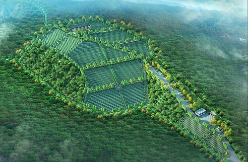 云南专业陵园规划设计公司
